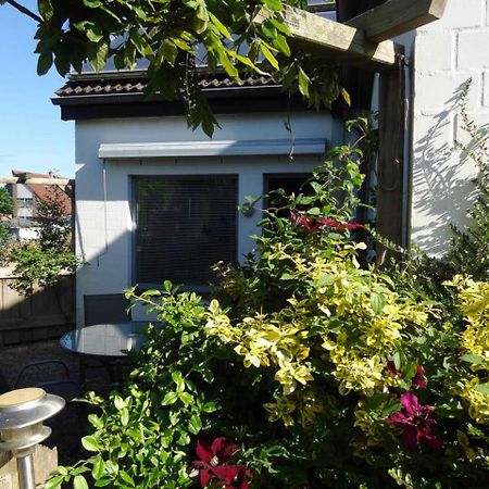 Heidelberg Viola Apartment นอยชตัดท์ อิน โฮลชไตน์ ภายนอก รูปภาพ