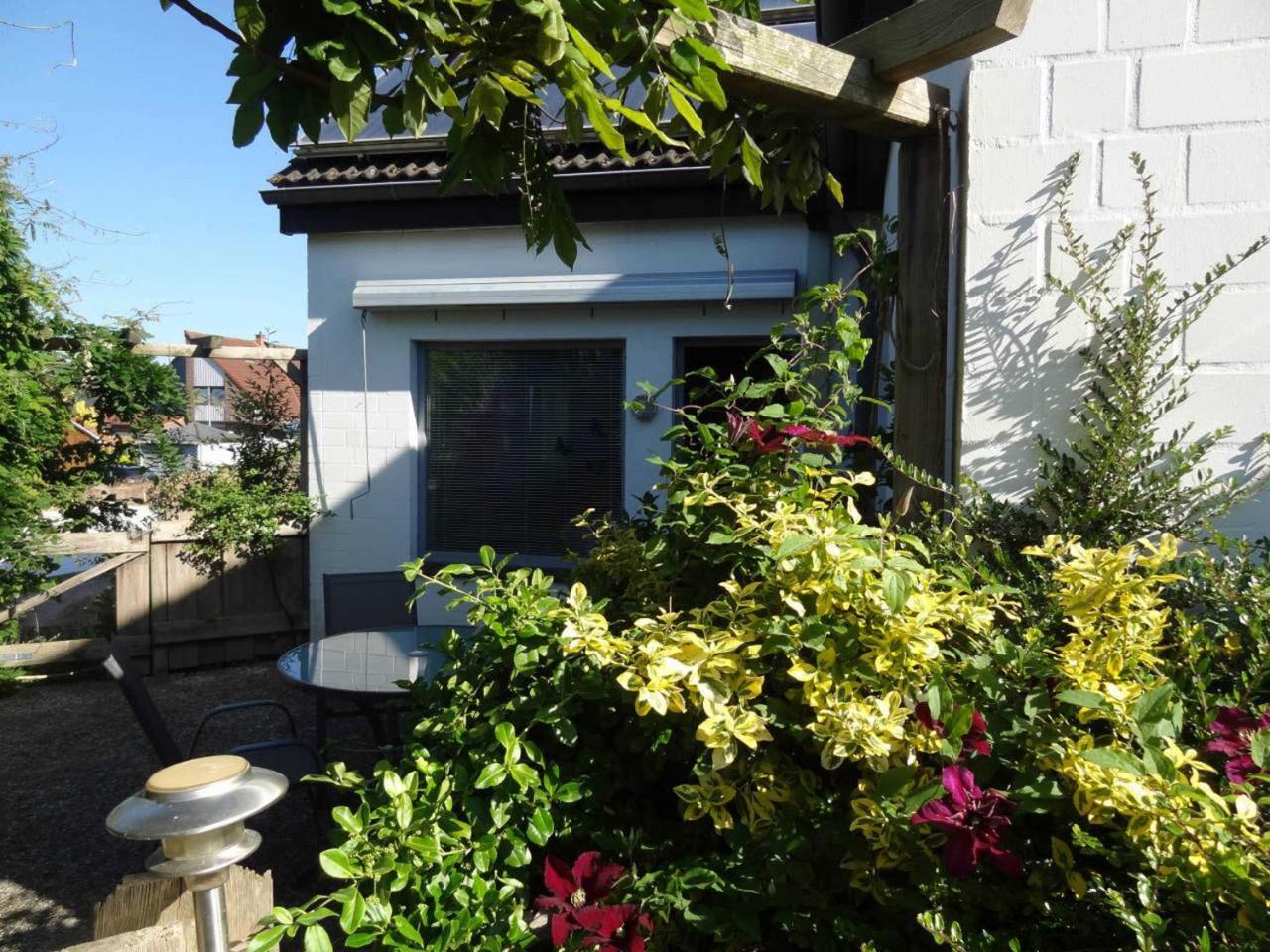 Heidelberg Viola Apartment นอยชตัดท์ อิน โฮลชไตน์ ภายนอก รูปภาพ